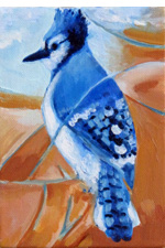 Blue Jay I
