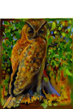 Forest with Great Horned Owl