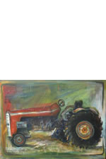 Savala's Massy Ferguson